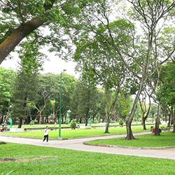 Công viên Phú Lâm gần The Sholi